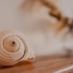 decoration salle d'eau dernier etage