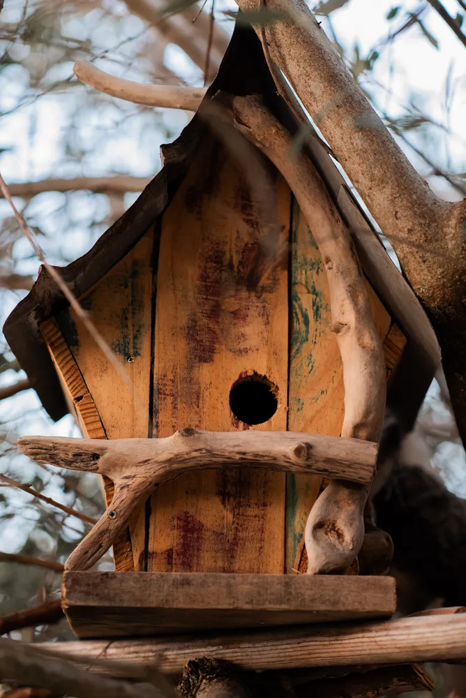 abri oiseau decoration