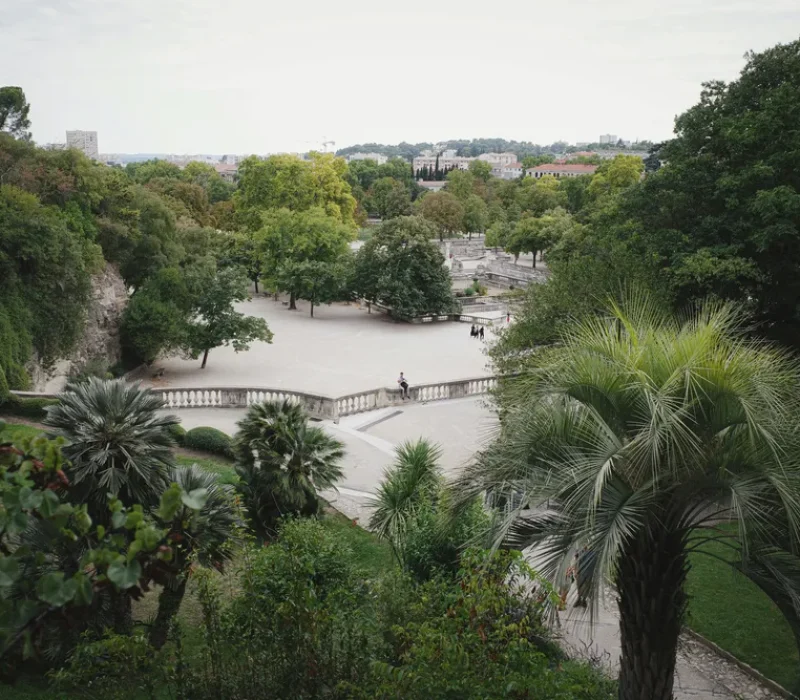 pexels-andreas-schnabl-1775843-19475764